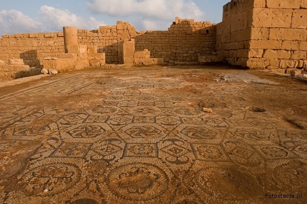 Mozaika_w_willi_z_widokiem Mosaic unearthed by Polish archaeologists at Ptolemais
