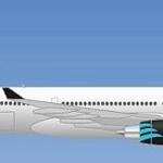 International Conference on Air Sovereignty calls on some European countries to lift flight ban on Libyan aircraft‎