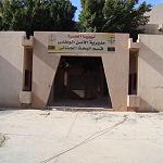 Alleged killers apprehended in death of two young men in Benghazi