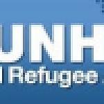 More Syrian refugees flee to Libya