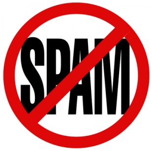 Libyan Spider joins forces with Dutch company to fight spam
