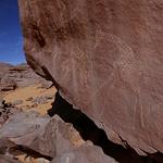 Security in Libya holding up archaeological breakthrough