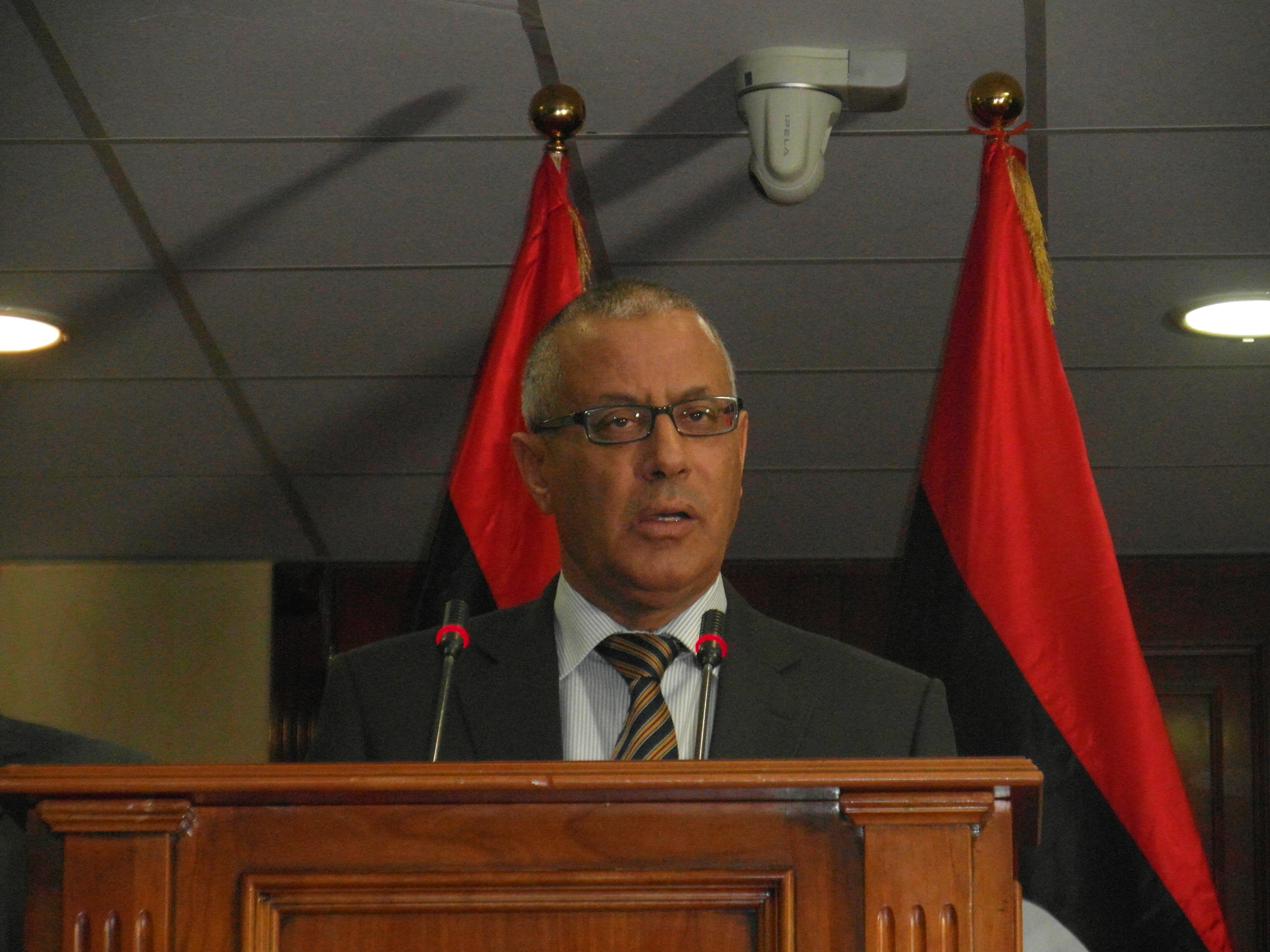 Russia is an important state. We will seek our national interest - Zeidan