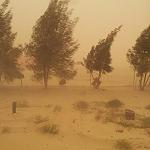 Jalu protestors step up oilfield action