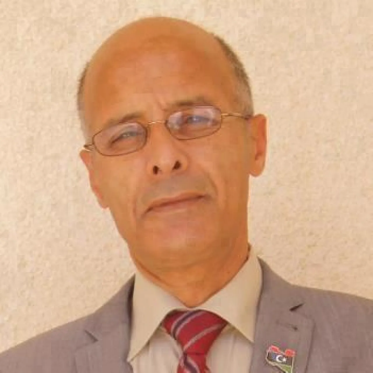 Hassan Al-Amin: "Others deserve the HRW award more"