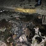 Car bomb in Beida