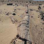 The Franco-Libyan project: a successful example of international scientific collaboration