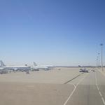 EU flight ban could be lifted for Libyan Airlines in weeks