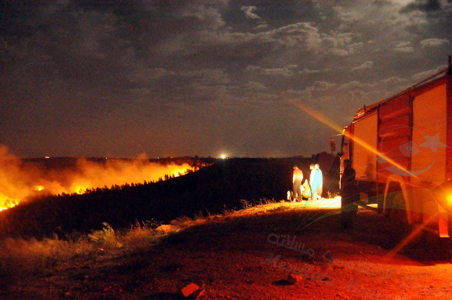 Forest fire rages through Jebel Nafusa nature reserve