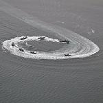 Navy takes delivery of new French fast patrol boats
