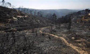 988729_509691865744652_110504351_n The scene of devastation this morning