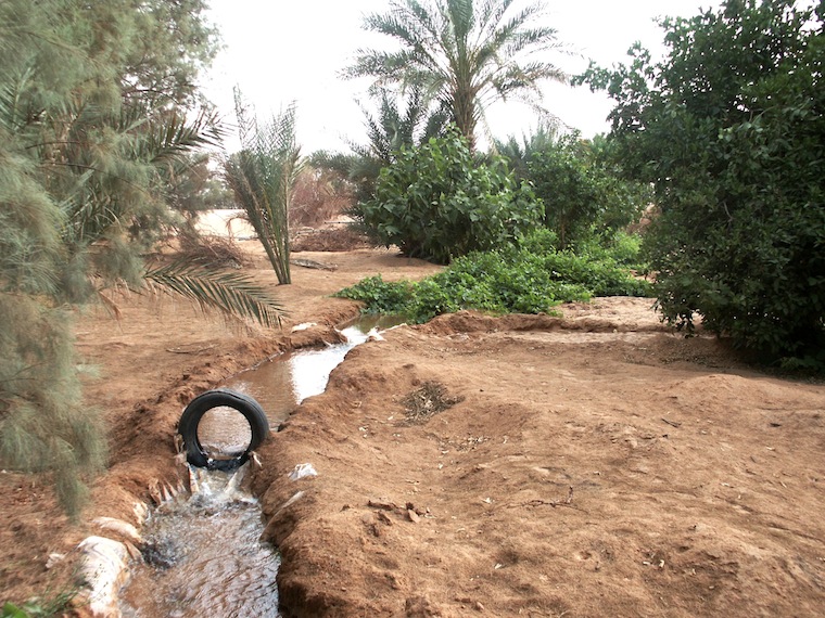 Figure 10: Fezzan Region has enough water for agriculture. Though most of the water tapped from fossil water aquifers, but with the proper management the water should be enough for some time to come. A lot of precious water could be saved if the Irrigation system in this farm (Wadi Atabah) is improved by using a modern water-saving system instead of the traditional system used here.