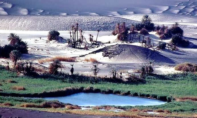 Figure 8: Eastern side of Waw An-Namus volcano with a small part of the eastern lake in the foreground. Burned reeds and date palms can be seen in the background. These rare flora were burned as a result of negligence by some visitors, and the authorities need to prohibit the lighting of any fires in this fragile area.