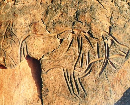 Fezzan No 2
