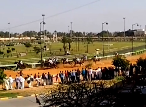 Horse racing authority set up