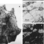 Libyan desert stone evidence of comet striking earth, say scientists