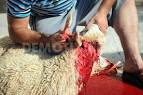 Eid Al-Adha in Libya