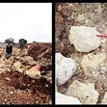 More buried phone cables severed in error