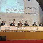 Constitutional Committee election final turnout put at half million