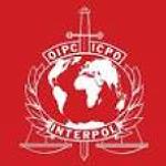 Libya will use Interpol red notices to arrest criminals: Zeidan