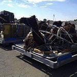 Qaddafi’s black camels flown to UAE