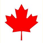 Canada expresses concern over recent violence in Libya
