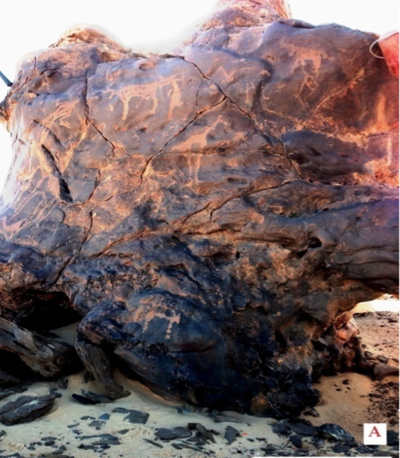 Rock carvings