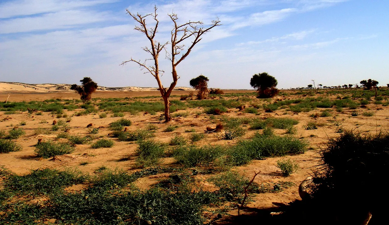 edited wadi