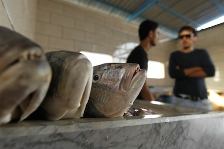 Benghazi's fish market flourishes, but consumers complain of price hikes