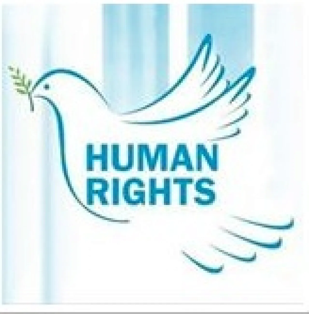National Council for Human Rights logo