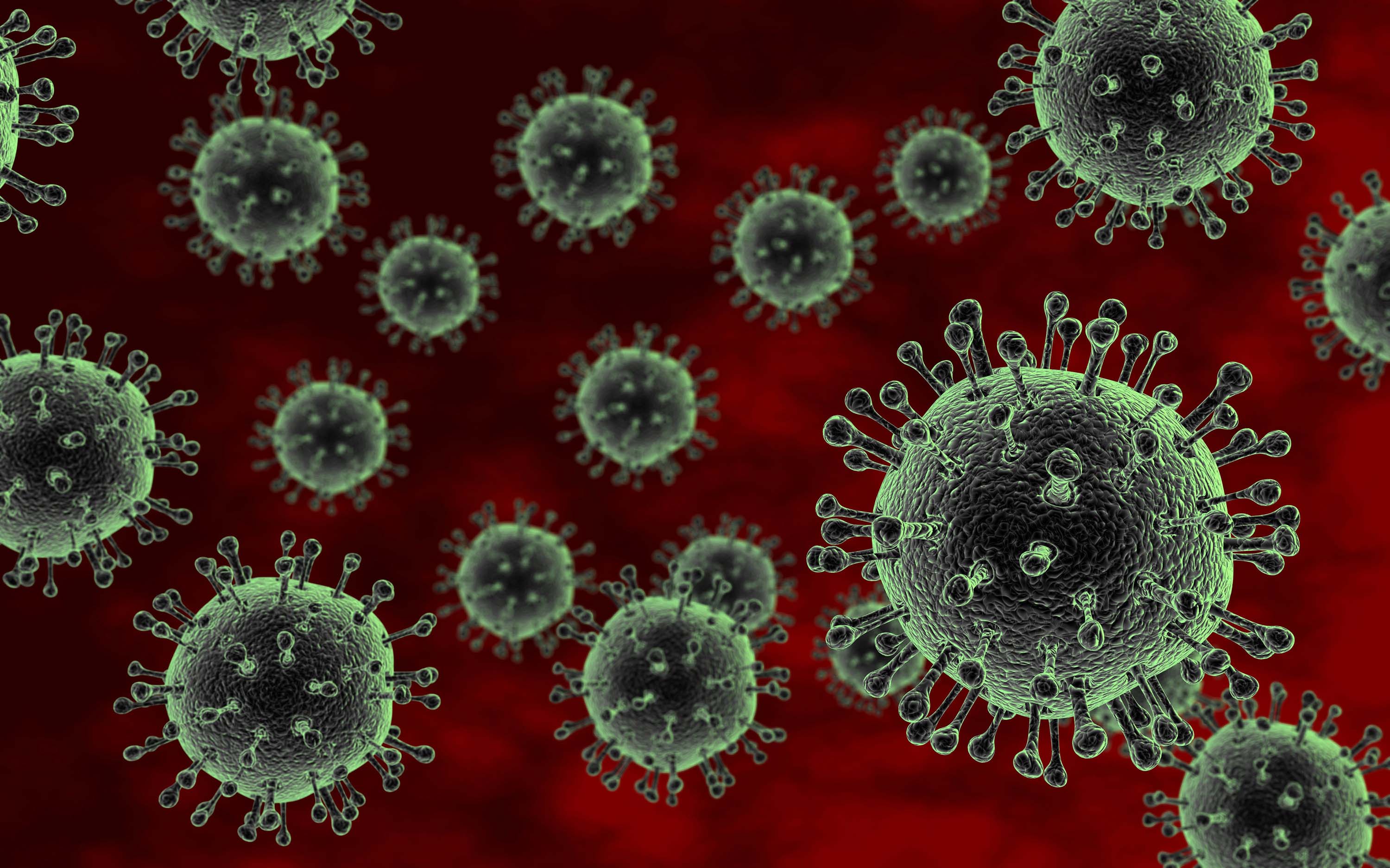 Tobruk to bar chicken imports from Egypt after bird 'flu scare
