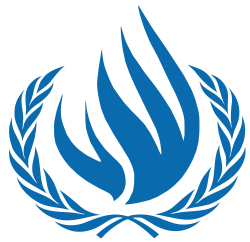 Human rights situation in Libya ‘’bleak’’: UN report