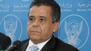 Libya looks to Arab states for support in war on terror as international community steps back