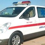 Paramedics in Ghariyan say they need more ambulances to meet the demand
