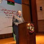 Long-delayed tribes conference under way in Cairo
