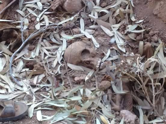 Unknown bodies found outside Derna