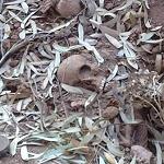 Unknown bodies found outside Derna