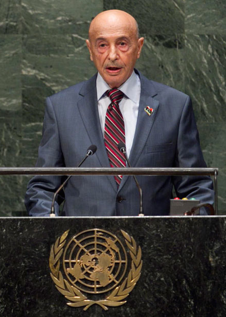 No blind eye for terrorism, Saleh warns UN