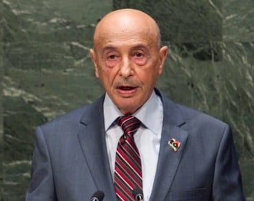 Ageela Saleh at the UN in New York today (Photo:UN)