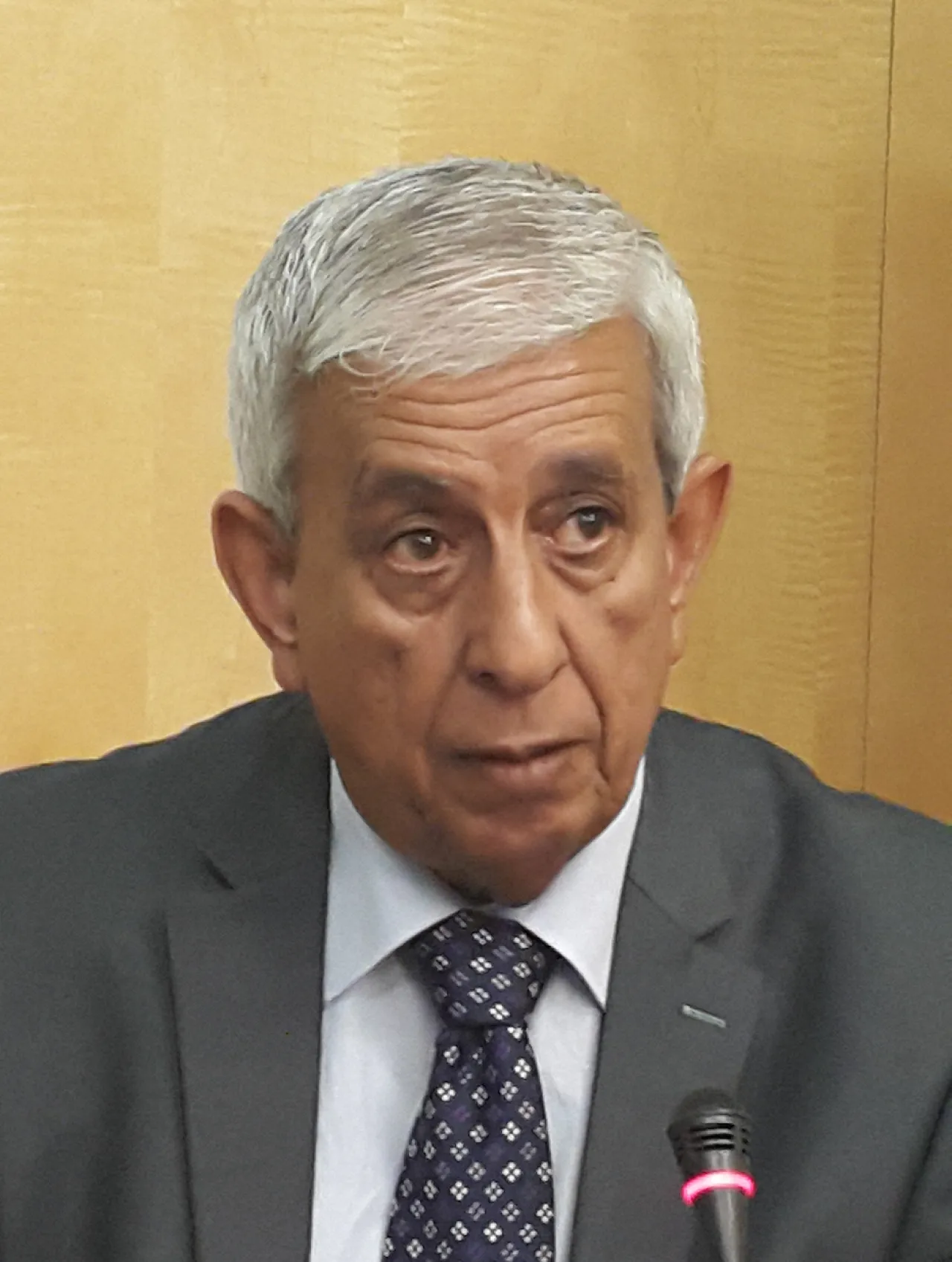 Mustafa El-Huni