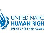 UNHCR finds war criminals on all sides in the conflict