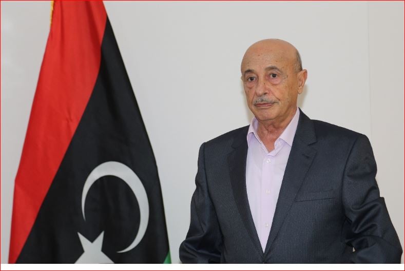 Ageela Saleh refutes spoiling HoR GNA vote, does not fear EU sanctions