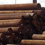 GECOL reports theft of 500 telegraph poles by armed militias