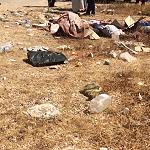 Bodies of former regime soldiers reported found in Tripoli amid claims of summary executions