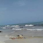 Over 100 migrant bodies washed up on Zuwara beaches