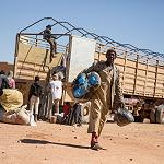 Trend of violent deaths, exposure, starvation and dehydration for migrants in North Africa:IOM
