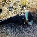 Tripoli unrest following assassination of two policemen, more inter-militia fighting