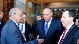 Algerian, Egyptian and Tunisian foreign ministers move to quickly put Libya mediation back on track