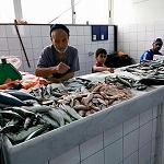 Tripoli’s main Bab El-Baher fish market reopens