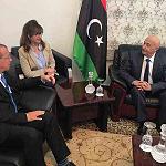 Italian FM focuses on migration in Tripoli visit but stresses support for GNA
